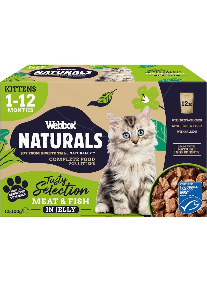 مجموعة مختارة من اللحوم والأسماك الطبيعية في الجيلي، بنكهات لحم البقر والدجاج والبط وسمك السلمون، للقطط الصغيرة من عمر شهر إلى 12 شهرًا، 12 قطعة × 100 غرام